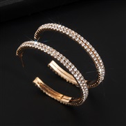 ( Gold)  Double row Rhinestone annular circle female personality stage temperament EarringE