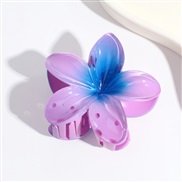 (purple) flowersY flower claw occidental style retro color