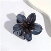 ( gray) flowersY flower claw occidental style retro color