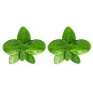 ( green)Acetate sheet exaggerating wind flowers earrings woman fresh high all-Purpose Earring woman